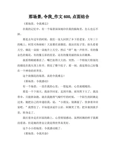那场景,令我_作文600,点面结合