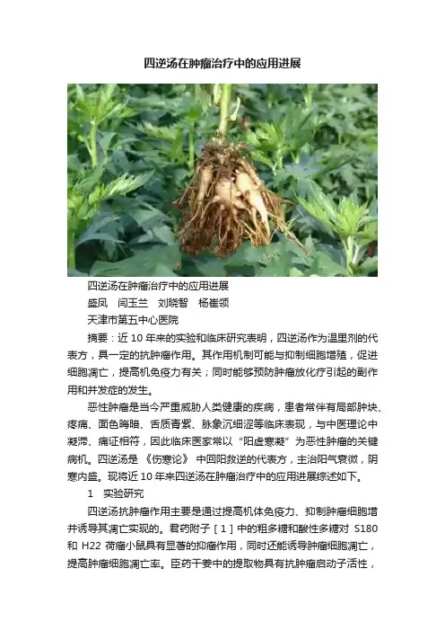 四逆汤在肿瘤治疗中的应用进展