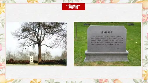 《县委书记的榜样——焦裕禄》精品ppt