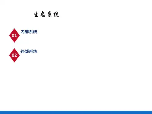 个案工作的基本过程—预估与问题诊断