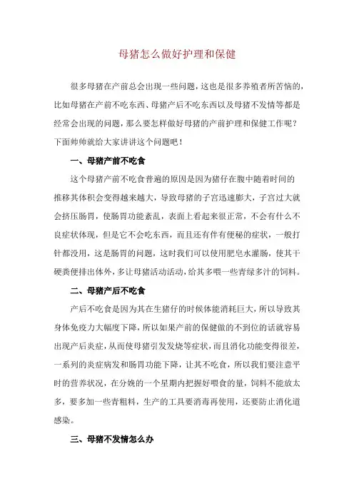 母猪怎么做好护理和保健