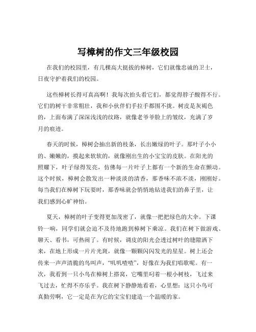 写樟树的作文三年级校园