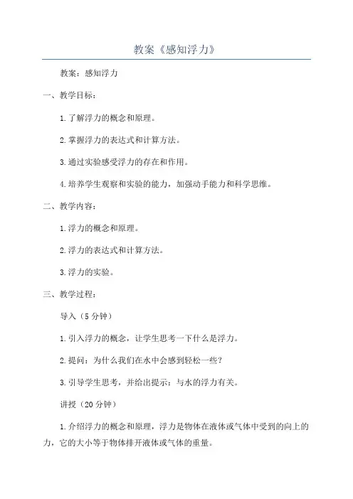 教案《感知浮力》