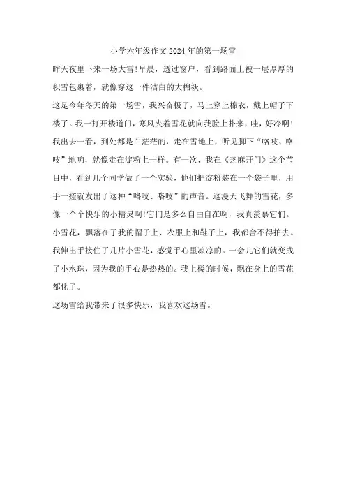 小学六年级作文2024年的第一场雪