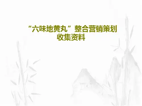 “六味地黄丸”整合营销策划收集资料共189页