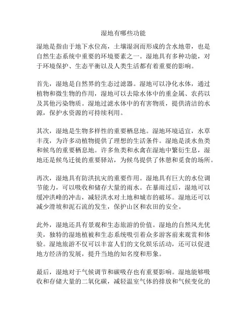 湿地有哪些功能