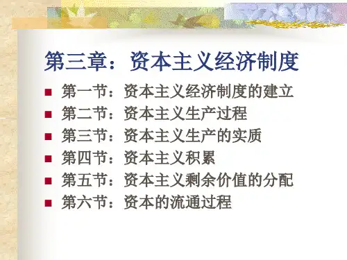 资本主义经济制度(2)