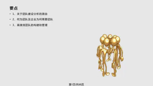 关于团队建设的分析PPT课件