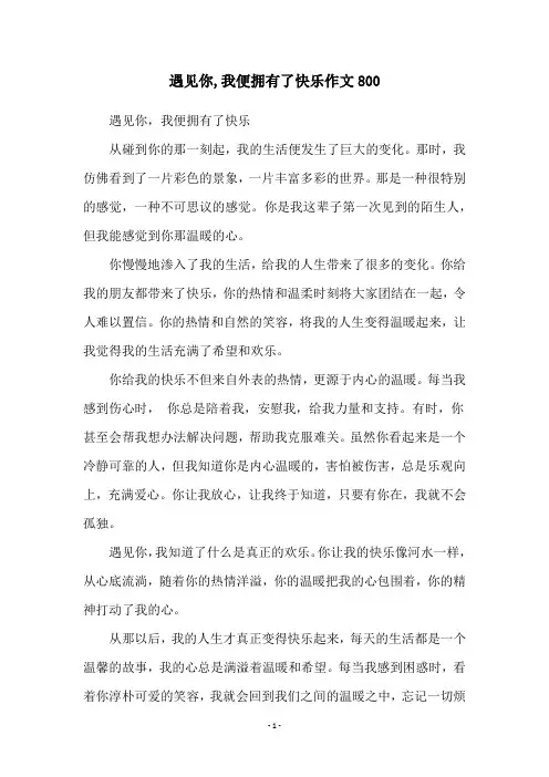 遇见你,我便拥有了快乐作文800