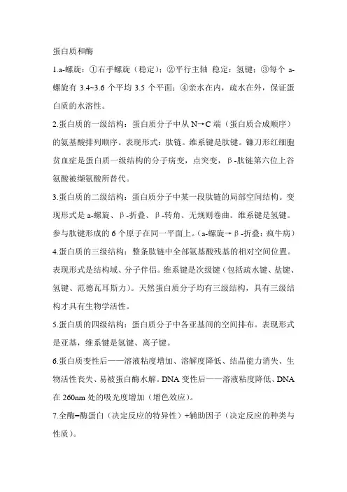 蛋白质和酶