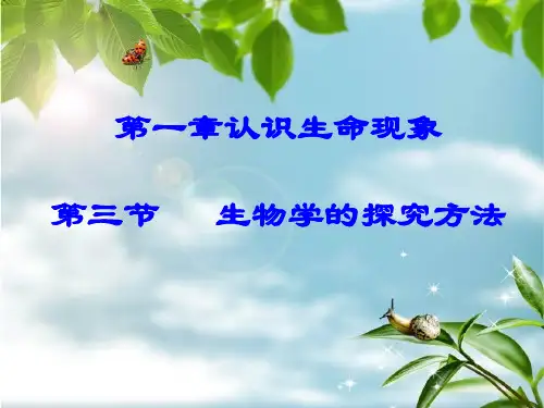 生物学的探究方法PPT课件 课件