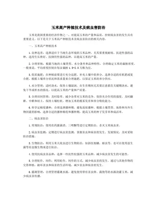 玉米高产种植技术及病虫害防治