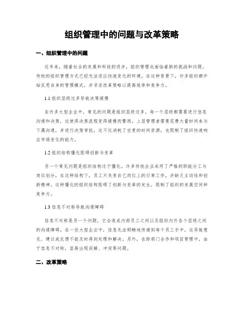 组织管理中的问题与改革策略 (2)