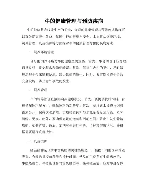 牛的健康管理与预防疾病