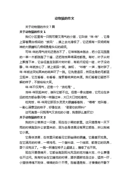关于动物猫的作文7篇