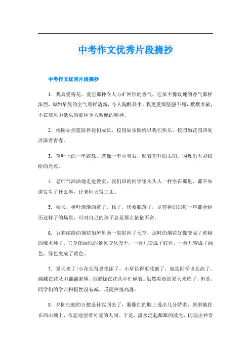 中考作文优秀片段摘抄