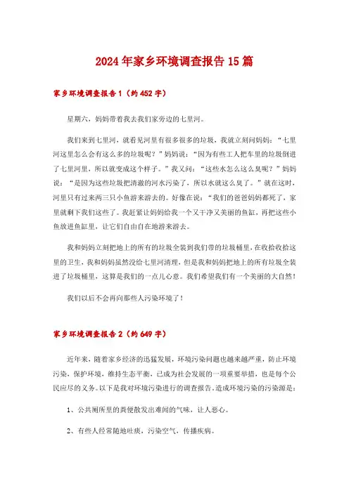 2024年家乡环境调查报告15篇