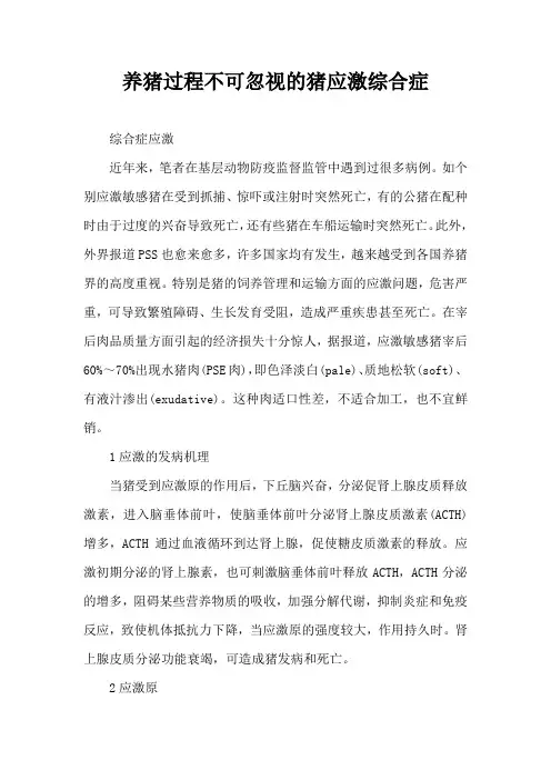 养猪过程不可忽视猪应激综合症