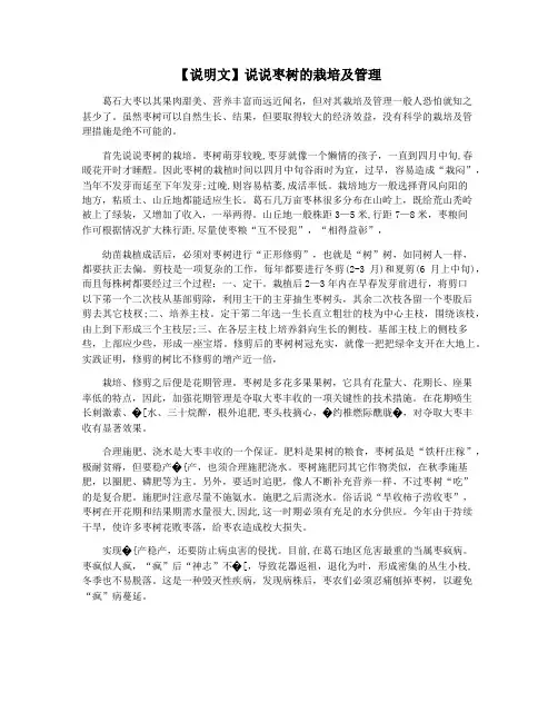 【说明文】说说枣树的栽培及管理