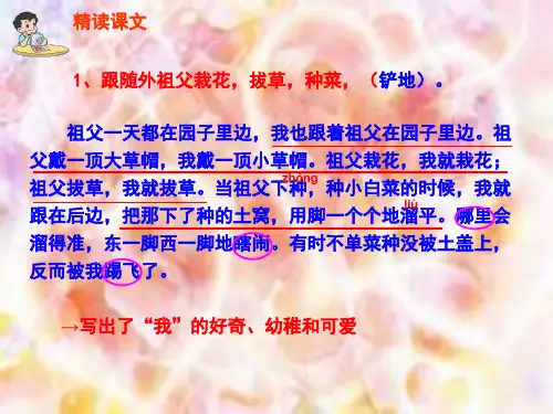 六年级语文下册课件12我和祖父的园子_教科版 (共21张PPT)