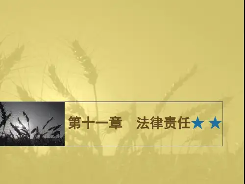 法理学+第十一章法律责任