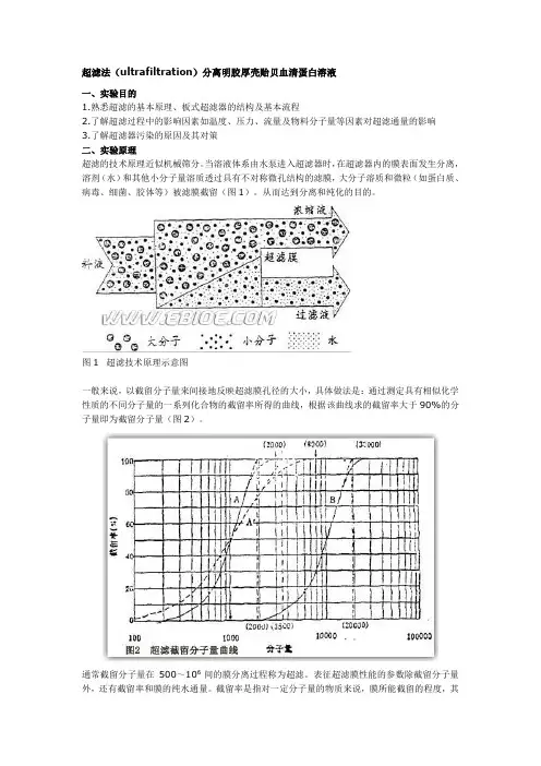 超滤法(ultrafiltration)分离明胶厚壳贻贝血清蛋白溶液