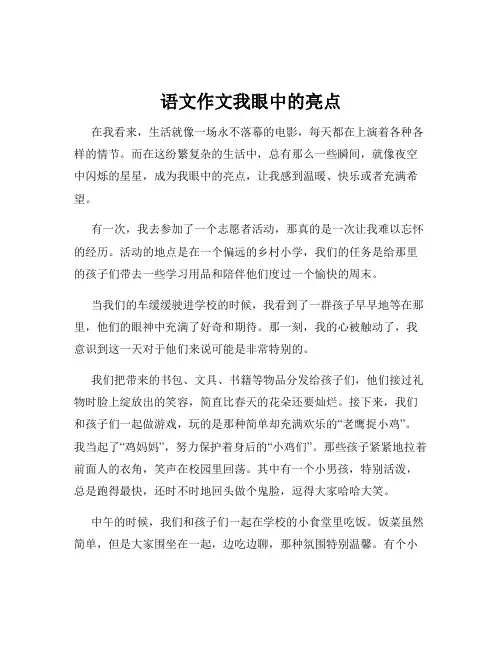 语文作文我眼中的亮点