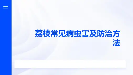荔枝常见病虫害及防治方法