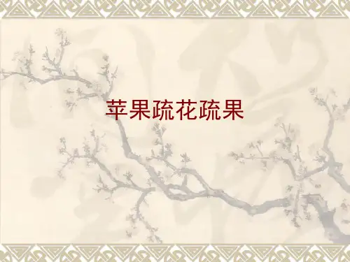 苹果疏花疏果