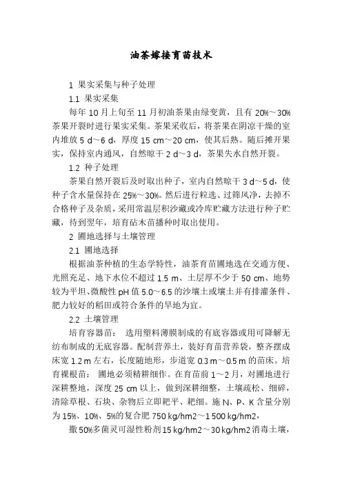 油茶嫁接育苗技术