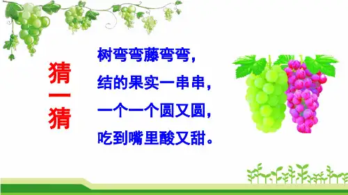 葡萄沟完美版PPT课件
