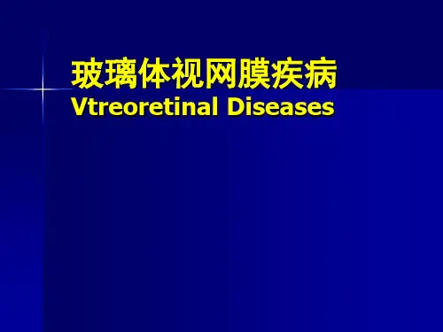 眼科学：12 玻璃体 视网膜疾病