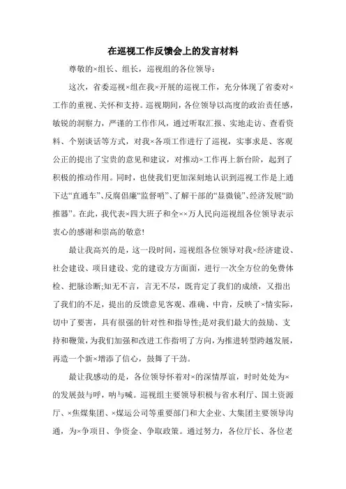 在巡视工作反馈会上的发言材料