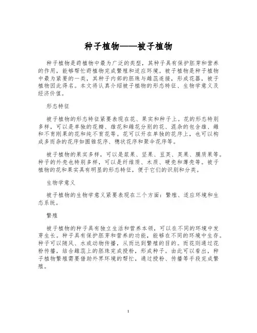 种子植物——被子植物