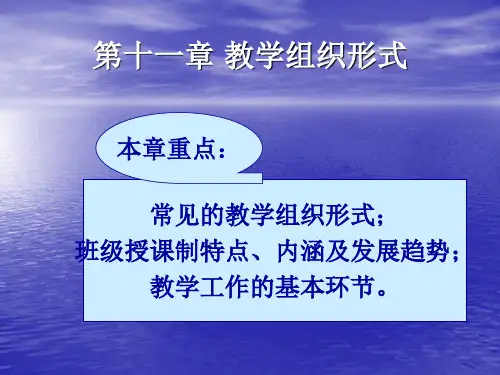第十一章教学组织形式