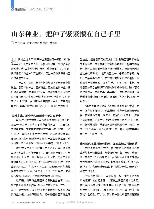 山东种业：把种子紧紧攥在自己手里