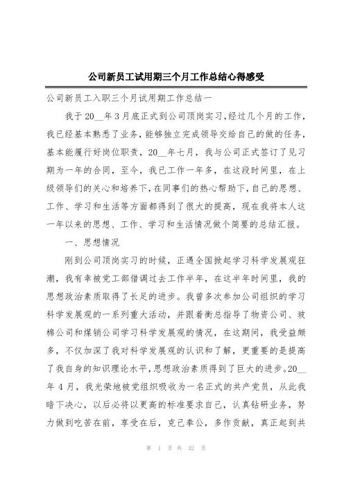 公司新员工试用期三个月工作总结心得感受 