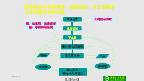 鱼类繁殖与发育.pptx