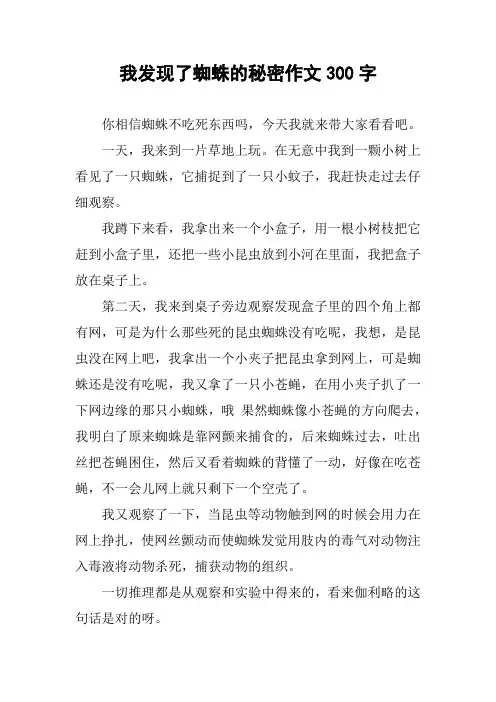 我发现了蜘蛛的秘密作文300字