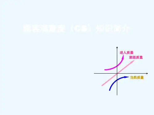 顾客满意度的基本特征与开展方式PPT(41张)