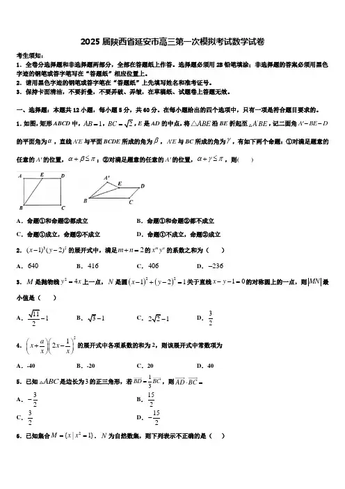 2025届陕西省延安市高三第一次模拟考试数学试卷含解析