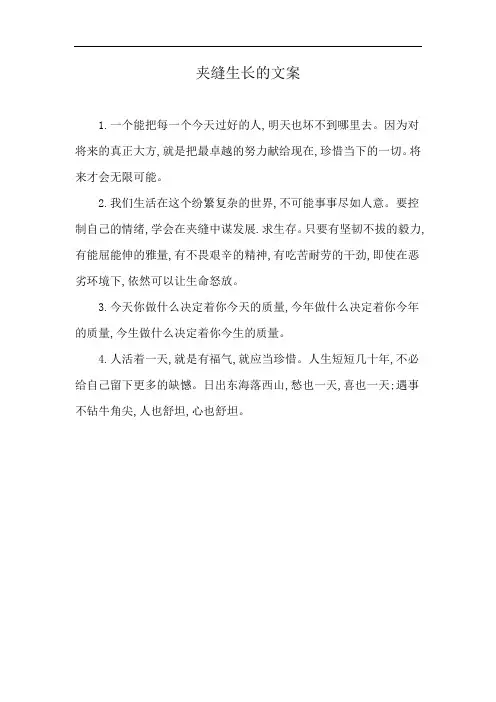 夹缝生长的文案