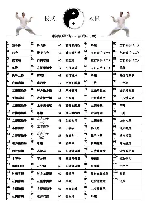 杨式太极杨振铎传一百零三式