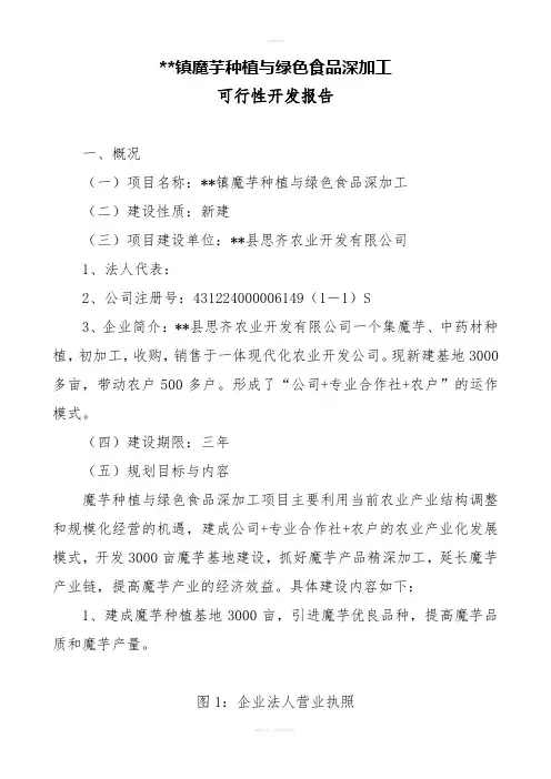 魔芋种植与产品加工项目可行性报告