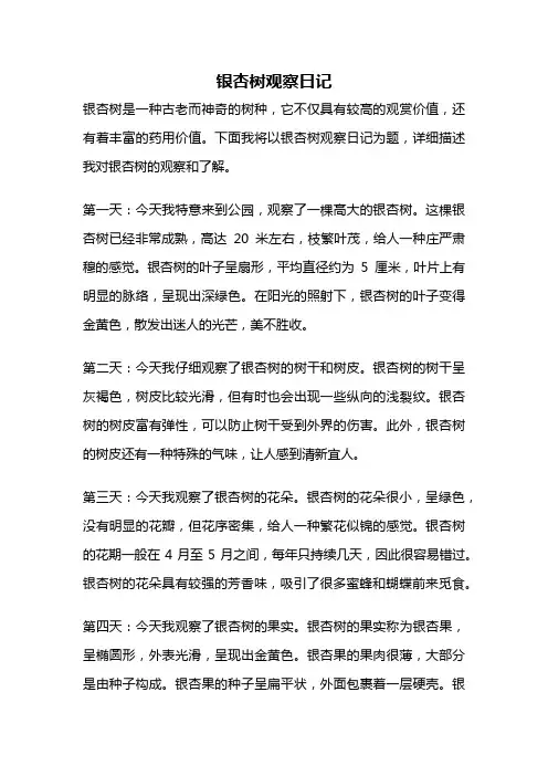 银杏树观察日记