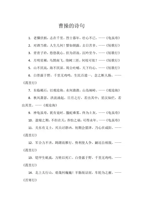 曹操的诗句