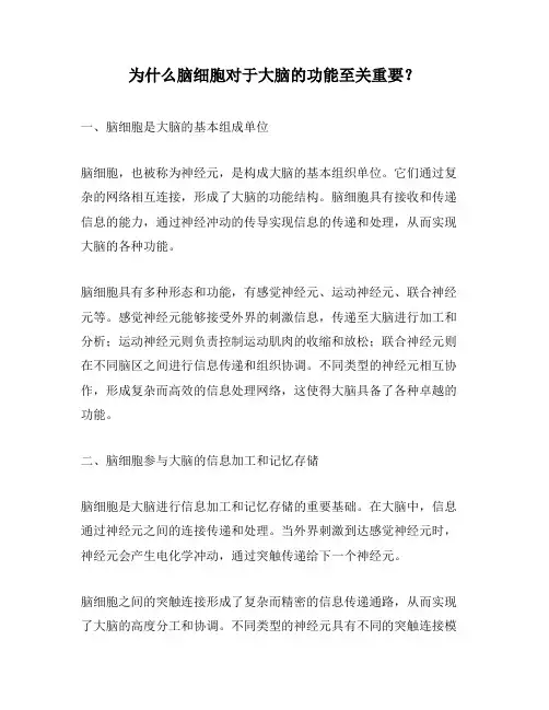 为什么脑细胞对于大脑的功能至关重要？
