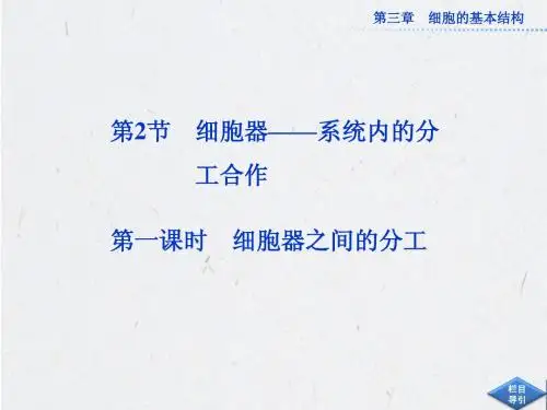 2013年人教版生物必修1全册精品课件 第三章 第2节 第一课时