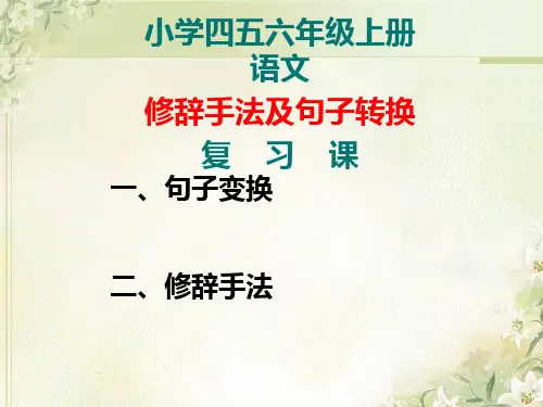 最全小学语文句式转换复习PPT课件