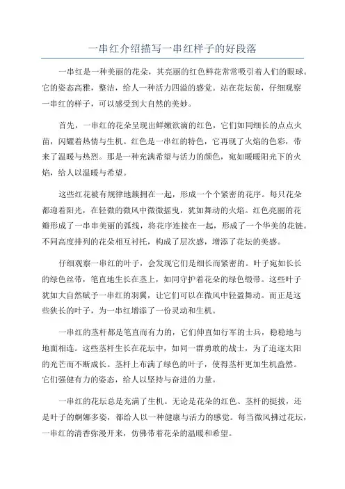一串红介绍描写一串红样子的好段落